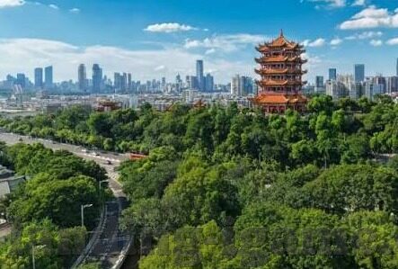 6月23号世界杯战况-世界杯战况，6月23号的精彩瞬间与意外之喜