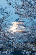 三国街机手游水果机攻略-三国街机手游水果机攻略，策略与技巧的深度剖析