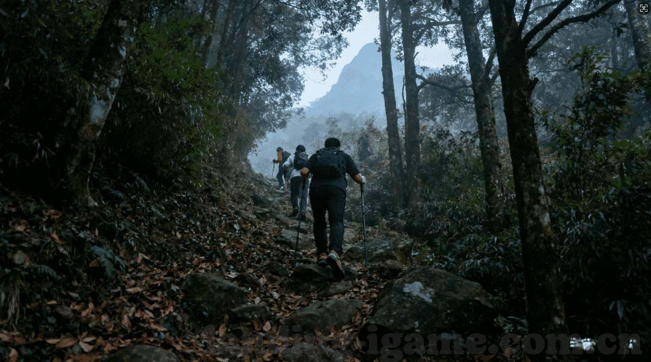 世界杯官网卖彩票-世界杯官网卖彩票，一场全球狂欢的序曲